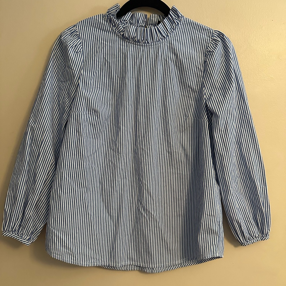J. Crew Blue and White Striped Shirt